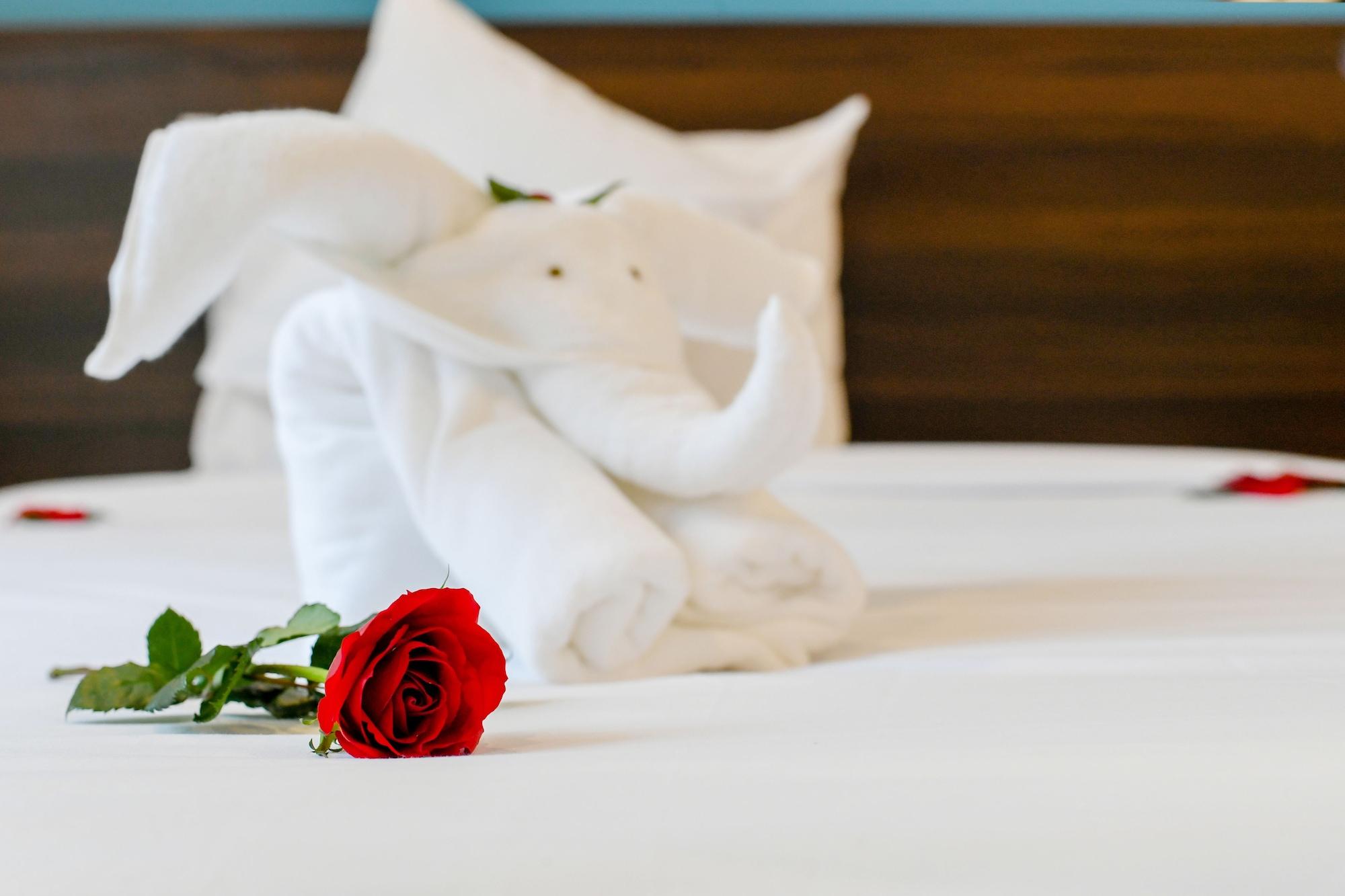 Hoi An Dream City Hotel Εξωτερικό φωτογραφία